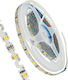 GloboStar LED Strip Power Supply 12V with Warm ...