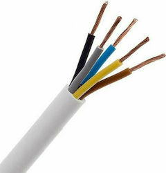 Eurolamp Καλώδιο Ρεύματος με Διατομή 5x1mm² Λευκό 1m 150-13121 Eurolamp Καλώδιο Ρεύματος με Διατομή 5x1mm² Λευκό 1m 150-13121