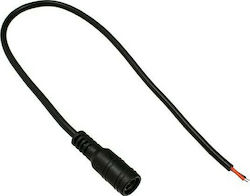 GloboStar Connector for LED Strips Weiblich mit Kabel 5,5*2,1 70735