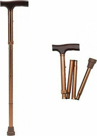 Medical Brace Brown Walking Stick MB.HC031