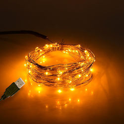50 Λαμπάκια LED 5μ. Θερμό Λευκό USB σε Σειρά