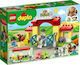 LEGO Duplo Horse Stable and Pony Care für 2+ Jahre