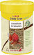 Sera Goldy Gran Nature Goldfish Food Granules with Spirulina 100ml