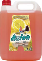 Axion Professional Washing-Up Liquid 4lt