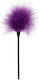 ToyJoy Sexy Feather Tickler