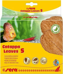 Sera Catappa Leaves S
