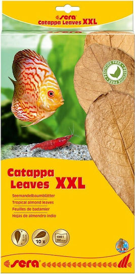 Sera Catappa Leaves XXL Tratament pentru protecție pentru mediu 100ml
