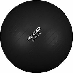 Avento Balls Pilates 55cm 0.9kg in Black Color