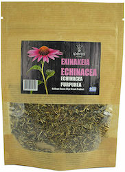 Iperos Herbs Echinacea 25gr