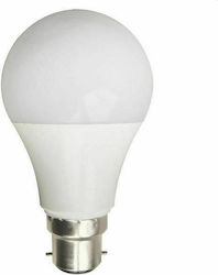 Eurolamp Λάμπα LED για Ντουί B22 και Σχήμα A60 Ψυχρό Λευκό 1055lm