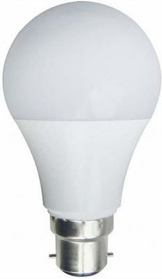 Eurolamp LED Lampen für Fassung B22 und Form A60 Naturweiß 1521lm 1Stück