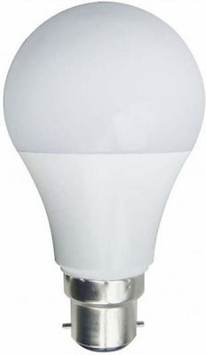 Eurolamp LED Bulbs for Socket B22 and Shape A60 Natural White 1521lm 1pcs