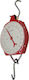 Professional Hanging Scale with Weighing Capacity of 50kg and Division 20gr