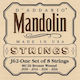 Daddario Mandolin 10-34