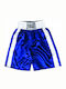 Everlast Pro Men's Boxing Shorts Blue P00000935-BL/WH