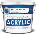 Pellachrom Professional Acrylic Plastic Acrilyc Paint for Exterior Use White 3lt