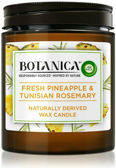 Airwick Botanica Duftkerze Ananas & Tunesischer Rosmarin Mehrfarbig 205 g