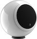 Gallo Acoustics A’Diva Hi-Fi Lautsprecher Buch ...