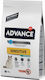 Affinity Advance Sensitive Sterilized Trockenfutter für erwachsene sterilisierte Katzen mit empfindlichem Magen-Darm-Trakt mit Lachs 10kg