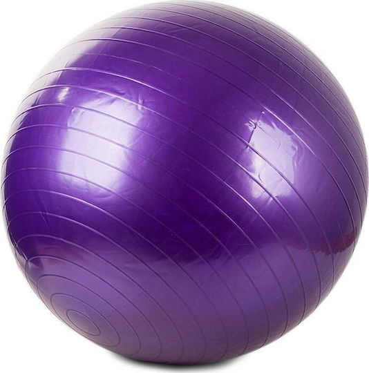 Pilates Ball 65cm in Purple Colour