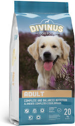 Divinus Pet Nutrition Adult 20kg