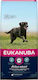 Eukanuba Active Adult Large Breed 15kg Dry Food for Adult Dogs of Large Breeds with Chicken