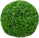 GloboStar Künstlicher Busch Buxus (Gewöhnlicher Buchsbaum) Grün 48cm 1Stück