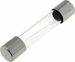 Tele Safety Cylindrical Glass 6x32mm 1A (FLG-1) 1pcs