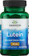 Swanson Lutein Ultra 40mg Special Food Supplement 60 Softgels