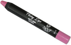 Dido Cosmetics Flesche Lippen Mattes Jumbo Lippenstift Bleistift