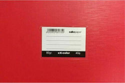 Salko Paper Notebook Ruled 40 Sheets Red 1pcs