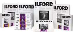 Ilford MGRCDL25M 20.3x25.4cm 25 φύλλα 25τμχ Ilford MGRCDL25M 20.3x25.4cm 25 φύλλα 25τμχ