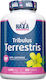 Haya Labs Tribulus Terrestris 1000mg Συμπλήρωμα για Λίμπιντο & Ενίσχυση της Τεστοστερόνης 100 κάψουλες