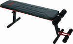 Amila Horizontal Abdominal Workout Bench