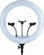 Andowl Ring Light 44cm 3200 - 5800K with Tripod Floor and Mobile Holder