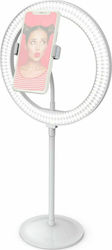 Digipower Led Ring Light Kit with Desktop Stand