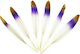 Anhui Province Jinrui Auto Parts Co. LTD Craft Feathers Set of 6pcs