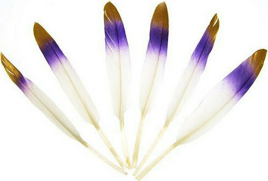 Anhui Province Jinrui Auto Parts Co. LTD Craft Feathers Set of 6pcs