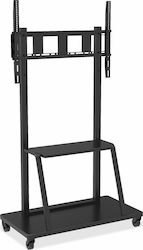 Techly ICA-TR30 ICA-TR30 Βάση Τηλεόρασης Δαπέδου έως 100" Techly ICA-TR30 ICA-TR30 Βάση Τηλεόρασης Δαπέδου έως 100"