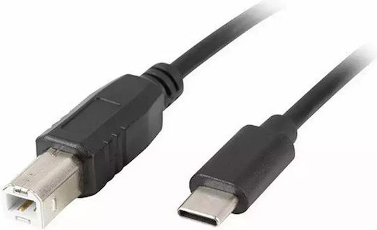Lanberg USB 2.0 Cable USB-C Male - USB-B Black 3m