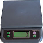 Ηλεκτρονική Επαγγελματική Ζυγαριά Ακριβείας με Ικανότητα Ζύγισης 30kg και Υποδιαίρεση 1gr