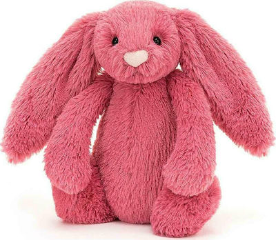 Jellycat Plush Bunny 31 cm