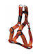 Rogz Hundegeschirr Utility Step In Nitelife Oranges Hundegeschirr Orange Klein RGSSJ14D