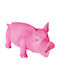 Trixie Squeaky Toy Dog made of Rubber with Sound 21εκ. 1pcs (Various Colors)