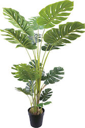 Monstera Potted Plant Marhome