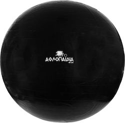 Athlopaidia Ball Pilates 95cm , 1.1kg in Schwarz Farbe