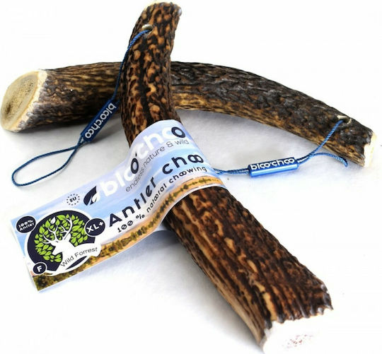 Antler BlooChoo Κέρατο Ελαφιού XLarge+ 100-140gr