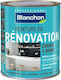 Blanchon Renovation Plastic Paint for Interior Use Blanc Casse 500ml