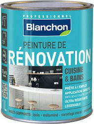 Blanchon Renovation Plastic Paint for Interior Use Gris Poivre 500ml