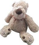 Egmont Plush Teddy Bear James